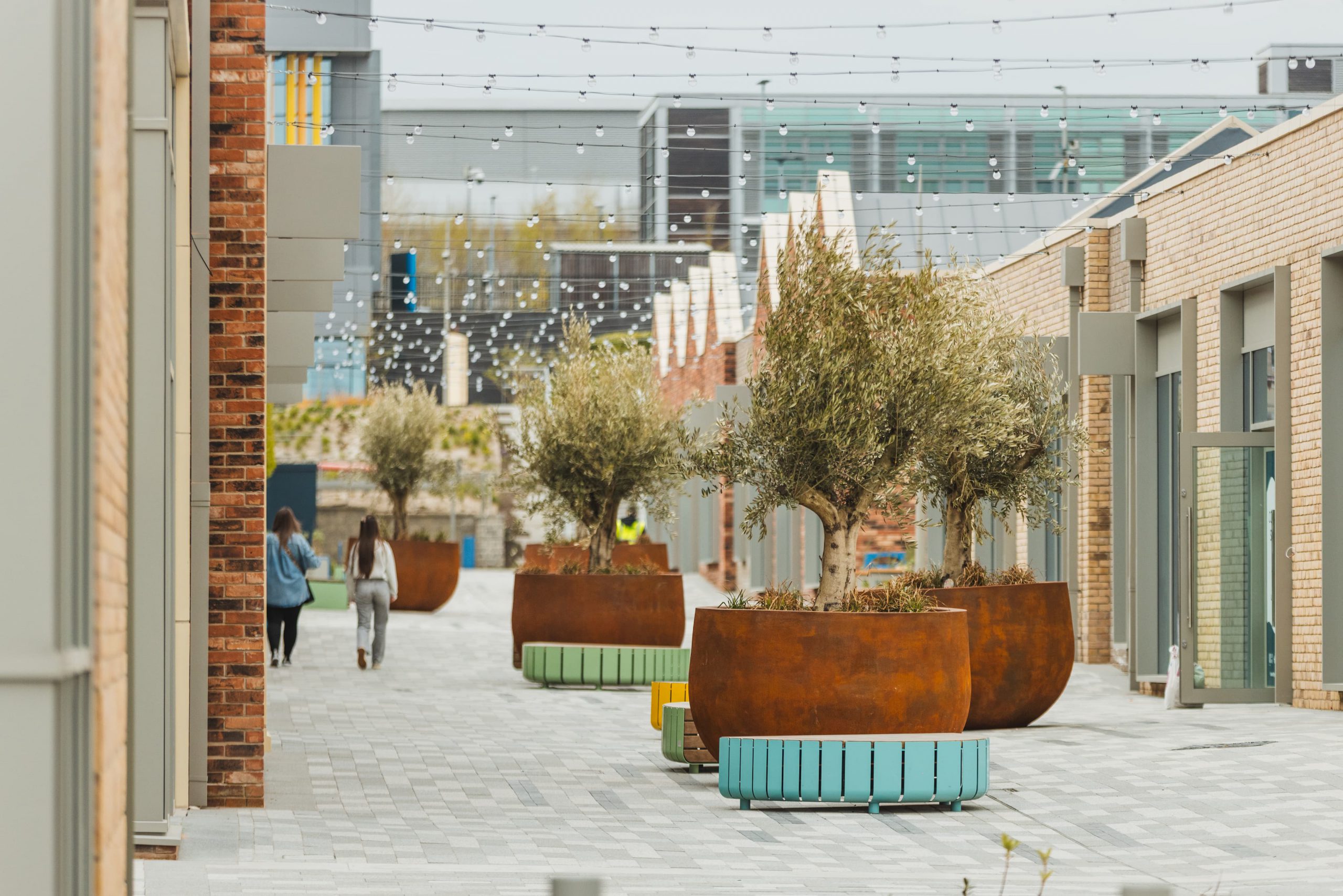 Urban street or plaza with trees and buildings
